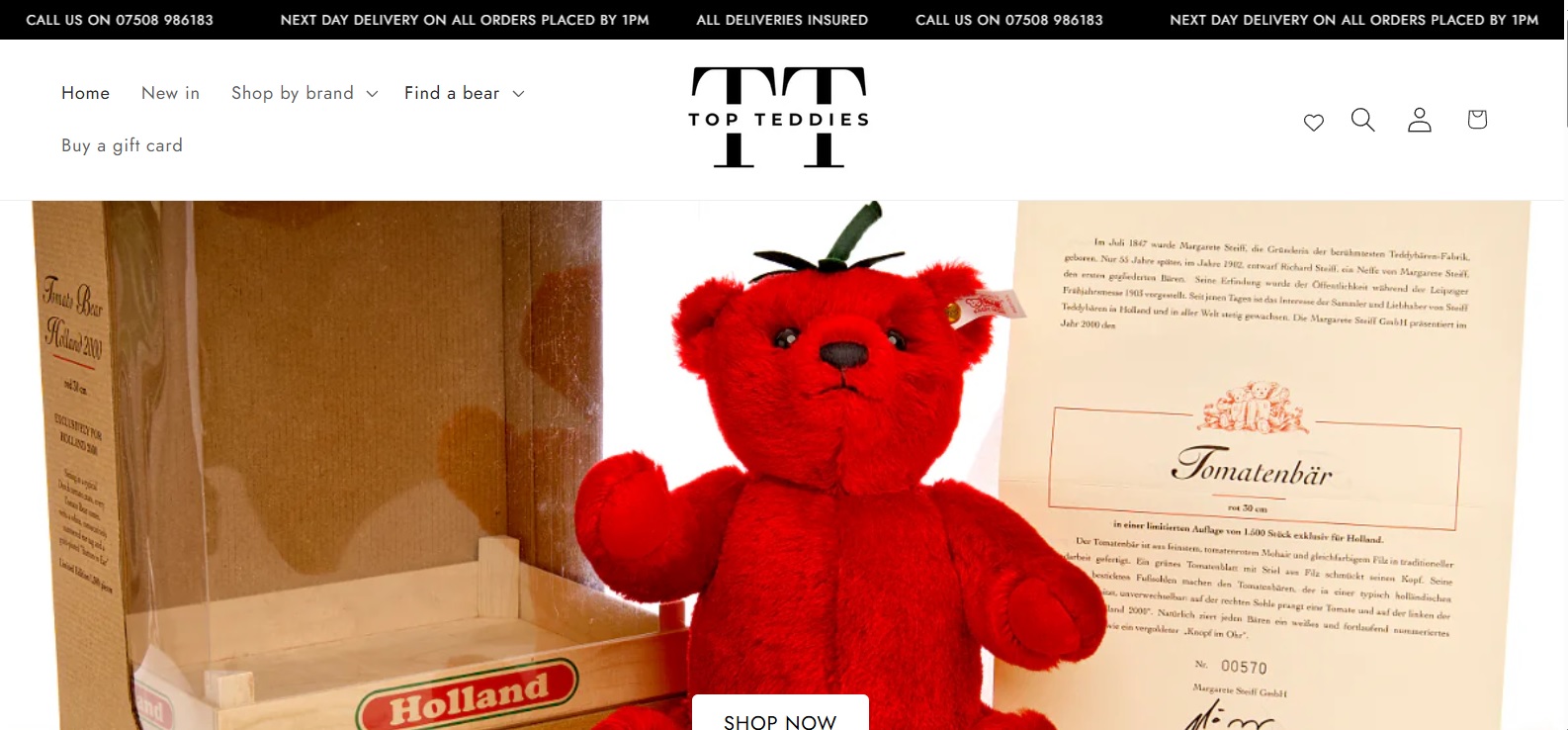 Top Teddies Limited
